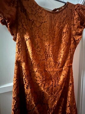 Free People Lace Fit-and-Flare Dress in Rich Copper size Large (L)